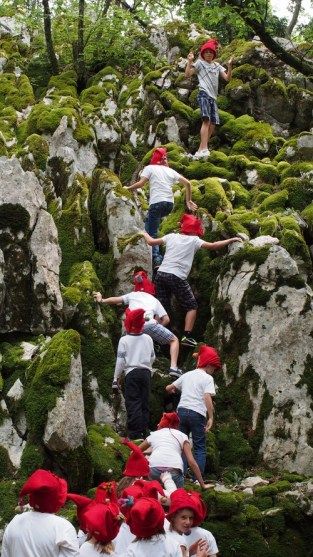 Tajna macmalića - priča o vuni